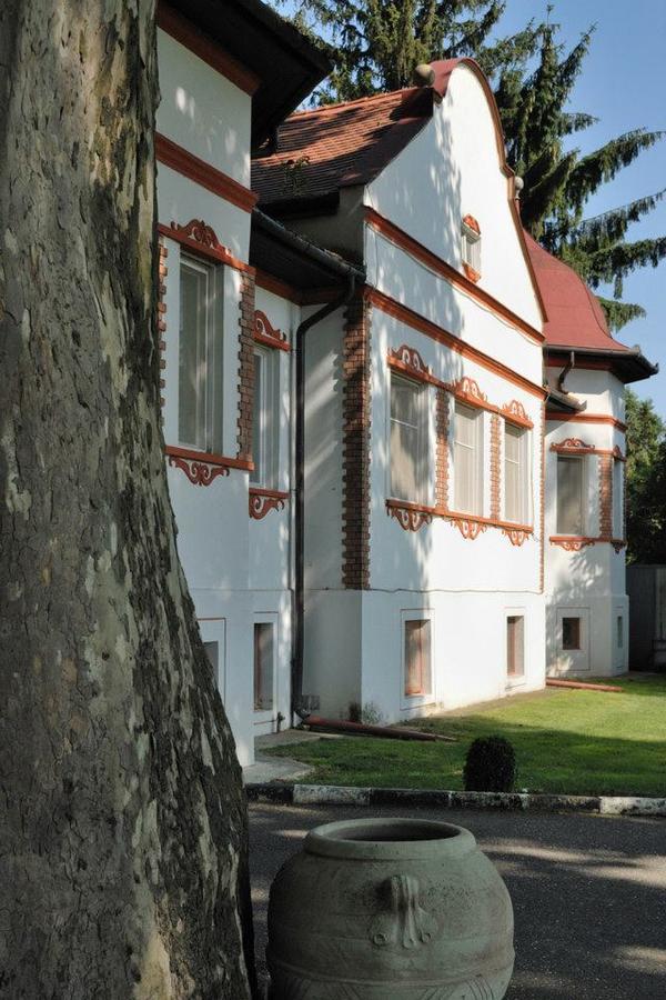 Kastelyszallo Mateszalka Bed & Breakfast エクステリア 写真